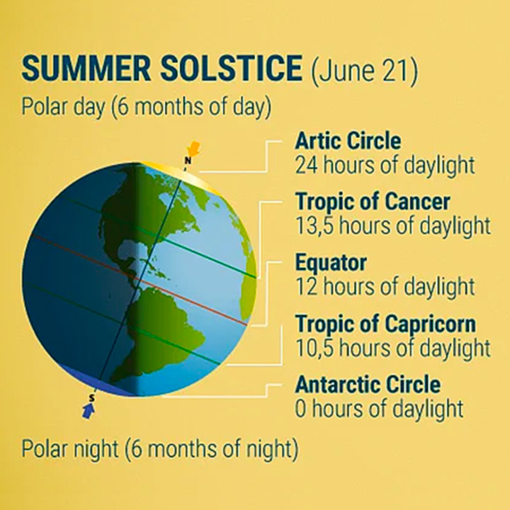 De Quelle Quantité De Lumière Du Soleil Ont Besoin Les Plantes D’extérieur ? De Quelle Quantité De Lumière Du Soleil Ont Besoin Les Plantes D’extérieur ?