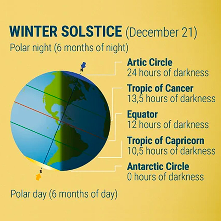 De Quelle Quantité De Lumière Du Soleil Ont Besoin Les Plantes D’extérieur ? De Quelle Quantité De Lumière Du Soleil Ont Besoin Les Plantes D’extérieur ?
