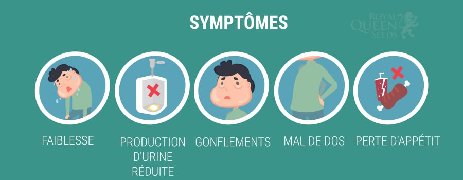 Symptomes 