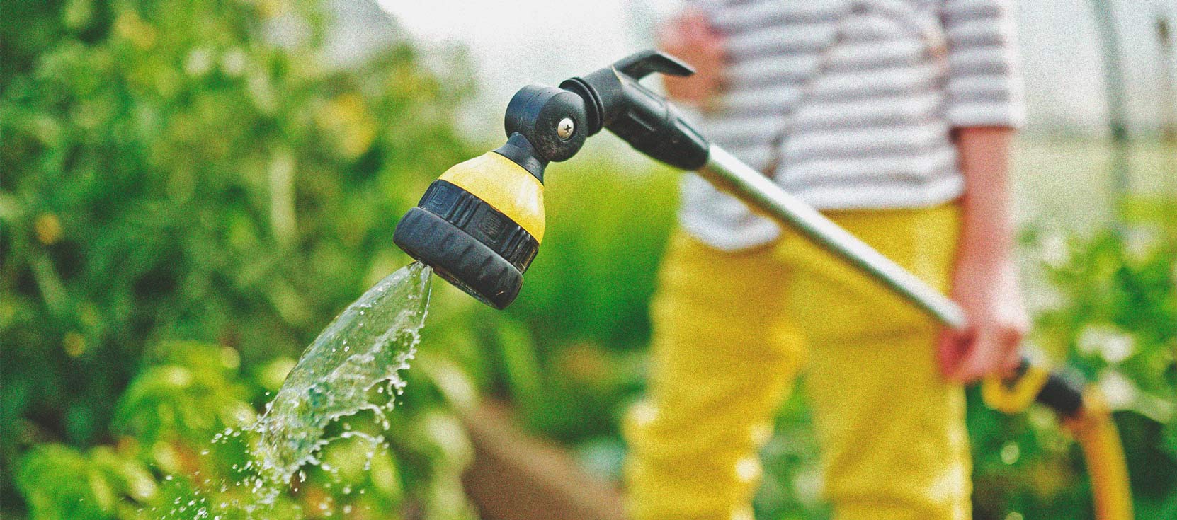 Cannabis et qualité de l’eau Partie 3 : choisir une source d’eau Cannabis et qualité de l’eau Partie 3 : choisir une source d’eau