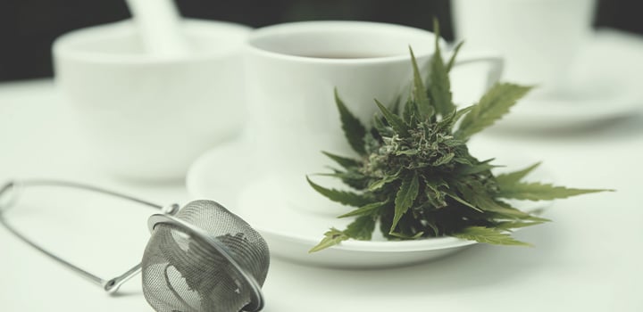 Toutes Les Façons De Consommer Du Cannabis Toutes Les Façons De Consommer Du Cannabis