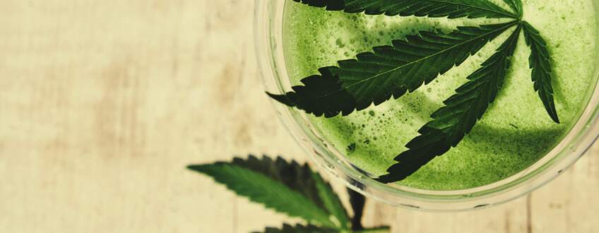 Jus de Cannabis Jus de Cannabis