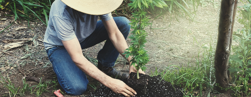 LES FACTEURS QUI INFLUENCENT LE TERROIR LES FACTEURS QUI INFLUENCENT LE TERROIR