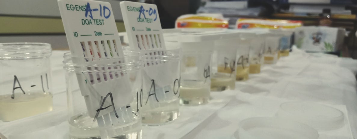Qu’est-ce que le THC ? Qu’est-ce que le THC ?