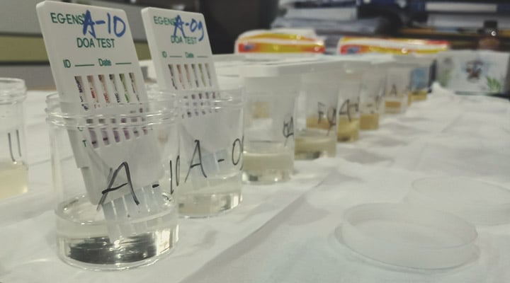 Qu’est-ce que le THC ? Qu’est-ce que le THC ?