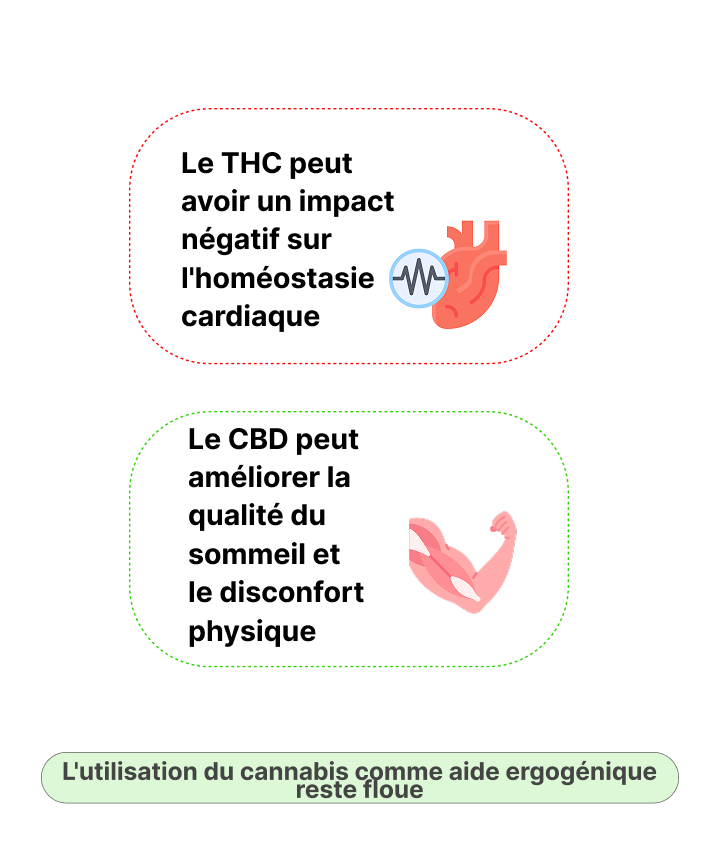 Infographie montrant les effets potentiels du THC et du CBD sur les performances sportives, l’homéostasie cardiaque, la qualité du sommeil et la récupération