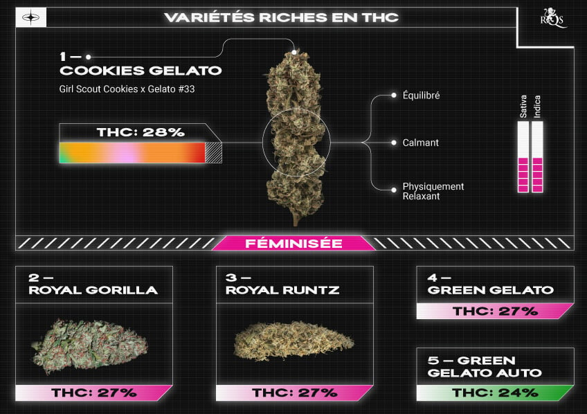 Top RQS THC Strains