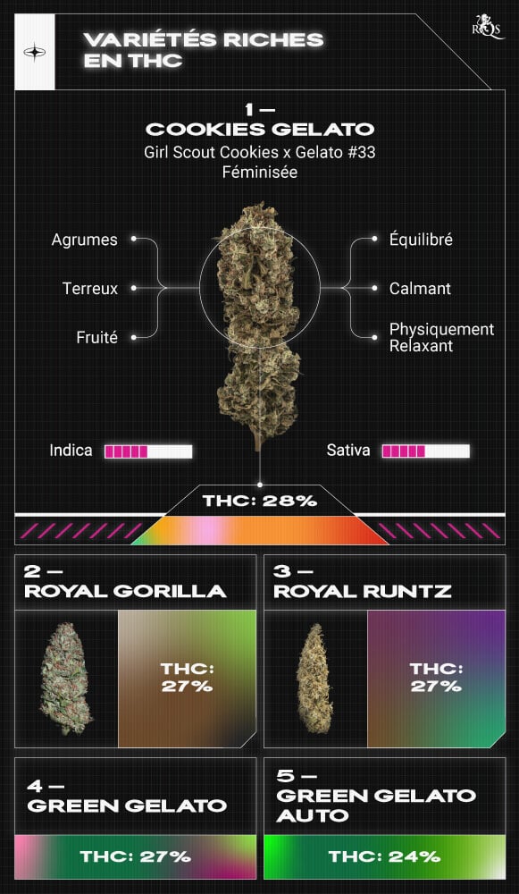 Top High TCH Strains