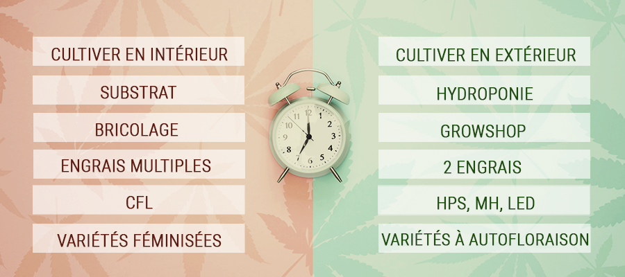 Quelques conseils pour économiser le temps des cultivateurs de cannabis