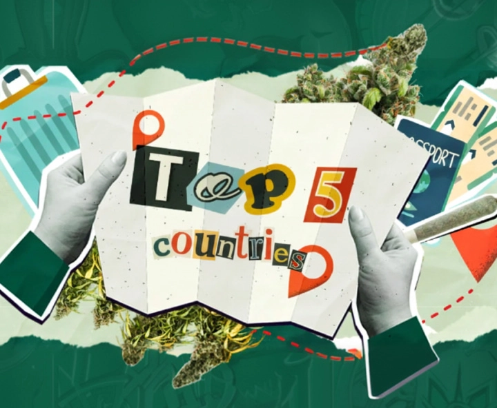 Top 5 des Pays Accueillants pour les Amateurs de Cannabis à Visiter en 2026 Vous prévoyez un voyage axé sur le cannabis en 2026 ? Découvrez les 5 meilleurs pays avec des lois et des expériences accueillantes pour les touristes amateurs de cannabis.