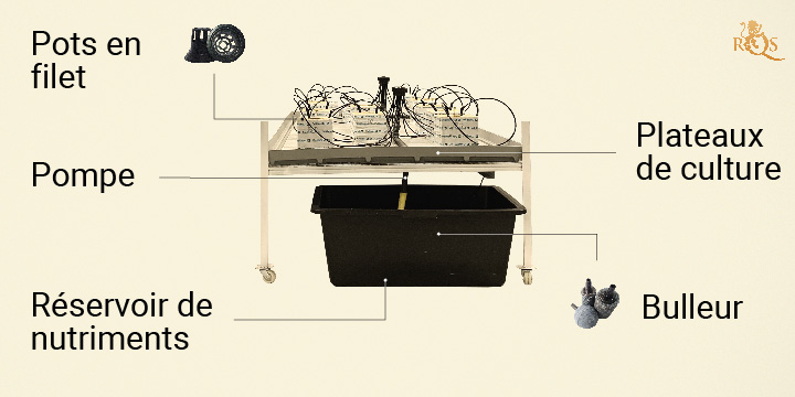 Concepts généraux de la culture hydroponique