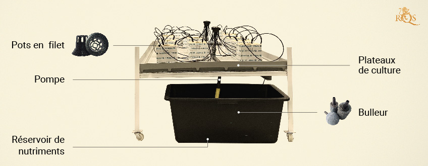 Concepts généraux de la culture hydroponique