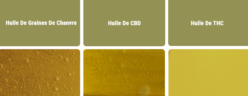 L'huile De CBD Et Les Autres Types D'huile