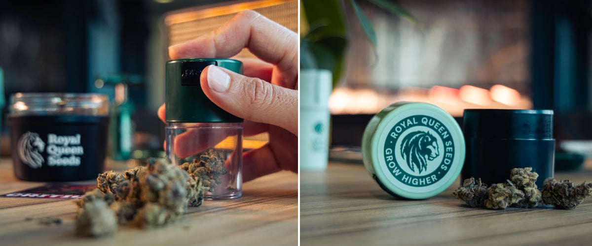 Rangement sous vide pour conserver la fraîcheur du cannabis Image de têtes de cannabis à côté de contenants de rangement compacts sous vide sur une surface en bois.