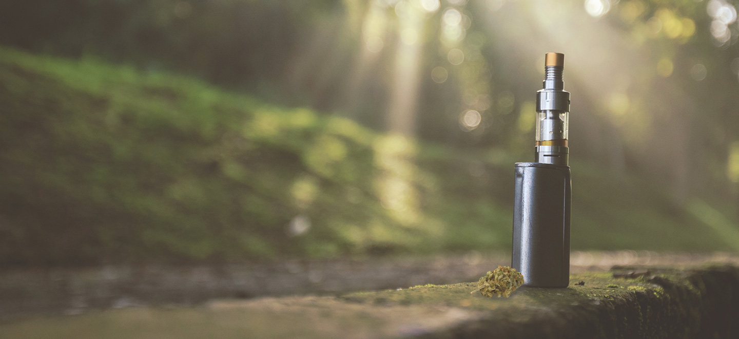Vaporiser des Fleurs au CBD Vaporiser des Fleurs au CBD