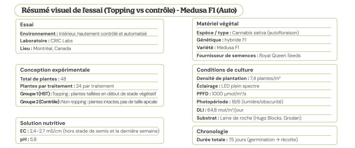 Essai Medusa F1 (Auto) : topping vs témoin – résumé visuel Résumé visuel de l’essai Medusa F1 (Auto) comparant topping vs témoin, avec protocole, matériel végétal, conditions de culture, solution nutritive et calendrier