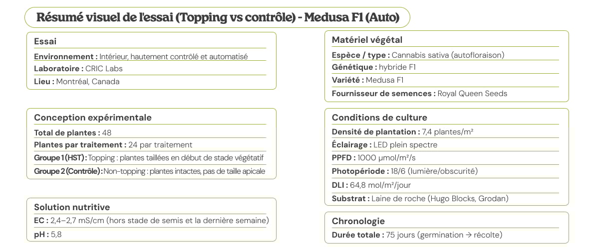 Résumé visuel de l’essai Medusa F1 (Auto) comparant topping vs témoin, avec protocole, matériel végétal, conditions de culture, solution nutritive et calendrier