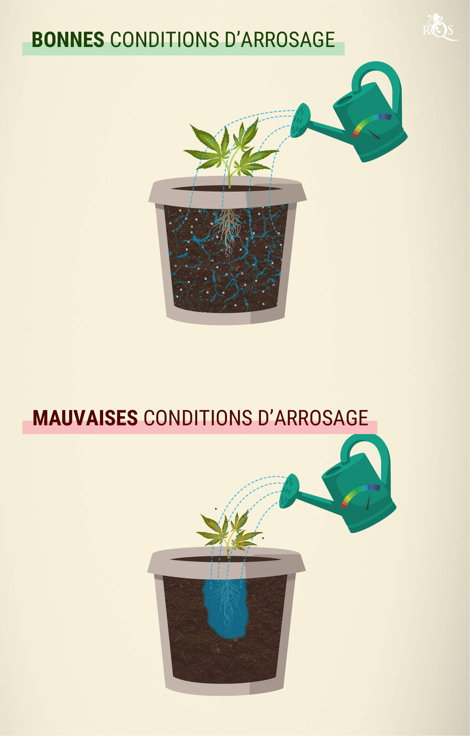 Comment arroser ses plantes à distance ?