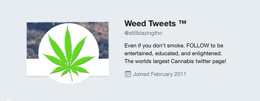 Weed Tweets 