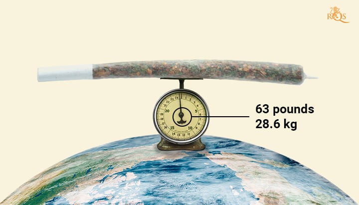 Cannabis World Record Largest Joint