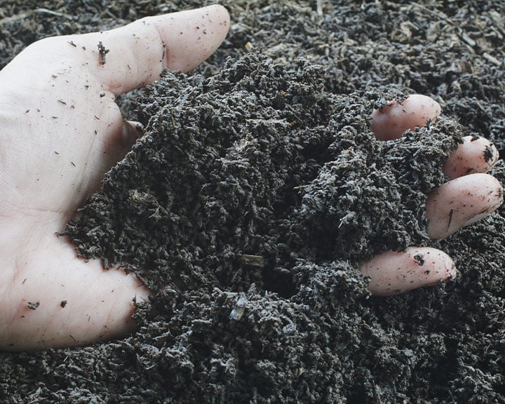 Worm Castings Worm Castings
