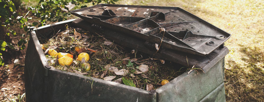 Compost Bin Compost Bin