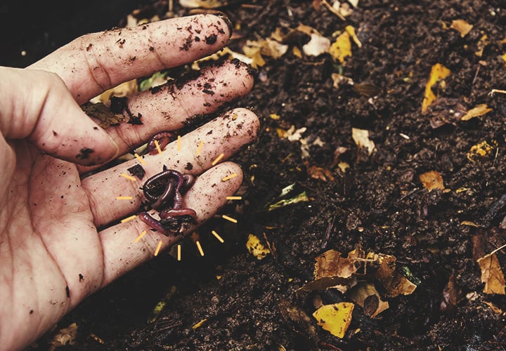 Comment Économiser De l'Argent En Réutilisant De La Terre Usagée Comment Économiser De l'Argent En Réutilisant De La Terre Usagée