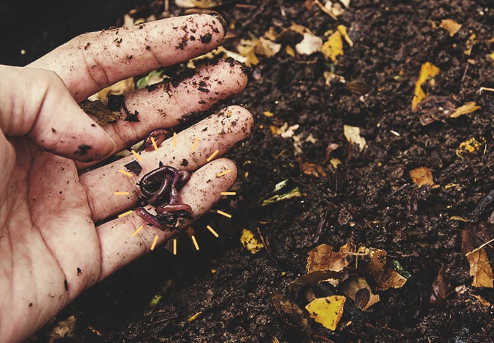 Comment Économiser De l'Argent En Réutilisant De La Terre Usagée