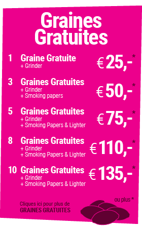 graines de cannabis libres