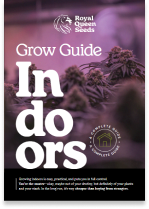 Indoor_guide