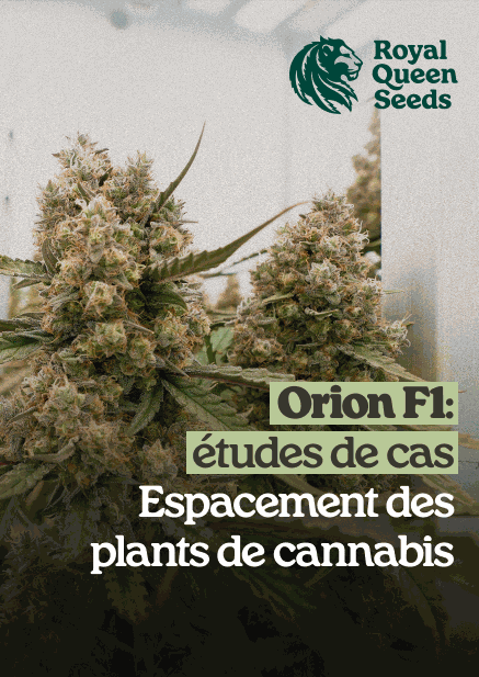 Plant_spacing_fr