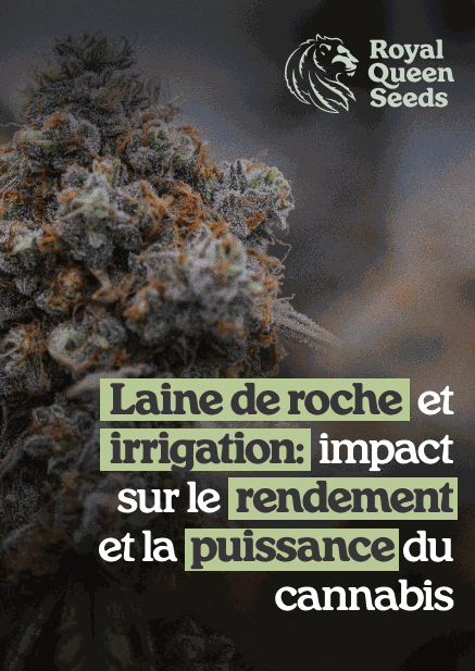 Rockwool_choice_fr