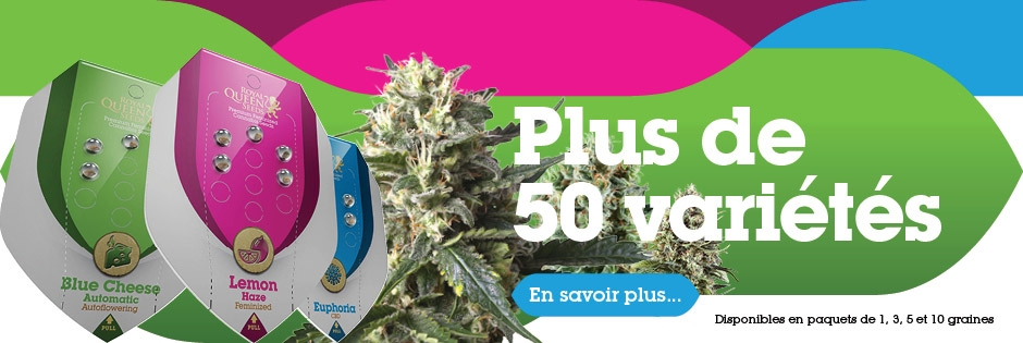 Royal Queen Seeds - Achetez des Graines Féminisées et des Graines Auto ...