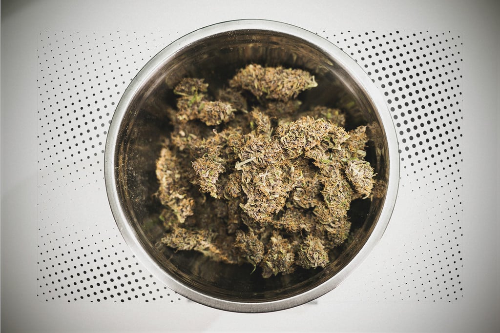 Vaut-il Mieux Récolter Son Cannabis Tôt Ou Tard ?