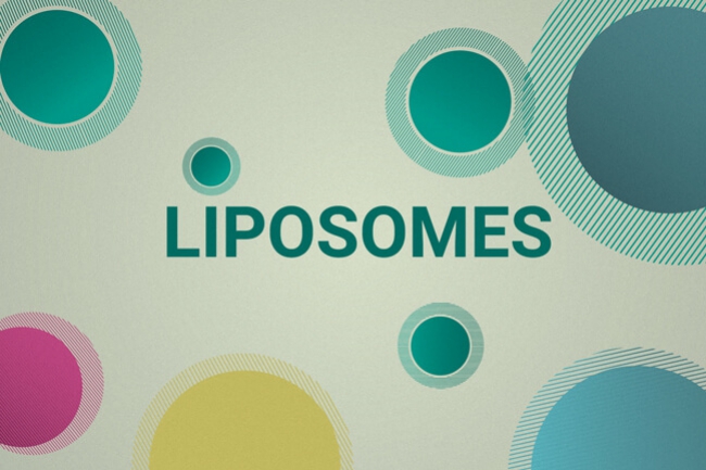 Les liposomes peuvent-ils transporter le CBD plus efficacement ?