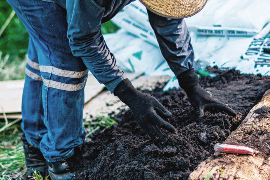 Le jardinage sans bêcher et sans labour pour cultiver de l'herbe