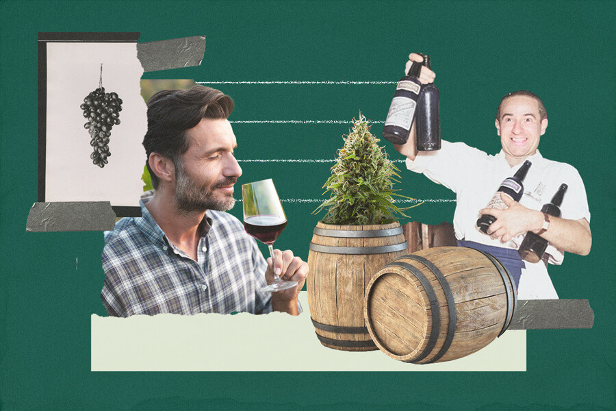 Comment préparer du vin infusé au cannabis