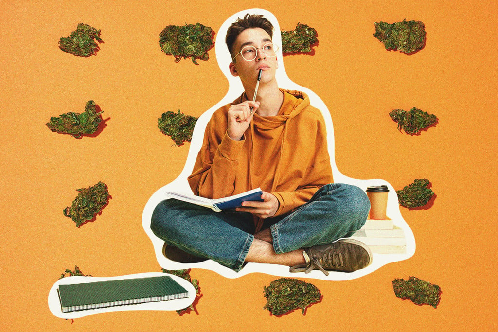Le cannabis pourrait-il vous aider à mieux étudier ?