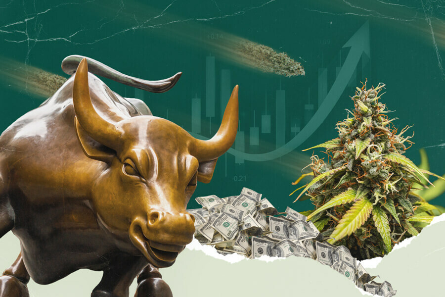 Comprendre le marché boursier du cannabis