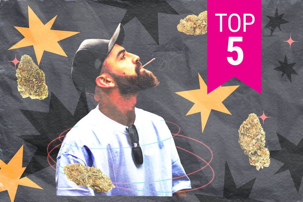 Top 5 des variétés de cannabis pour se concentrer et être créatif