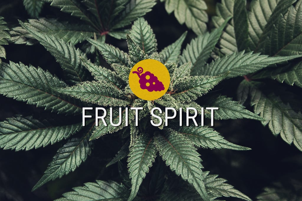 Fruit Spirit Graines de cannabis féminisées