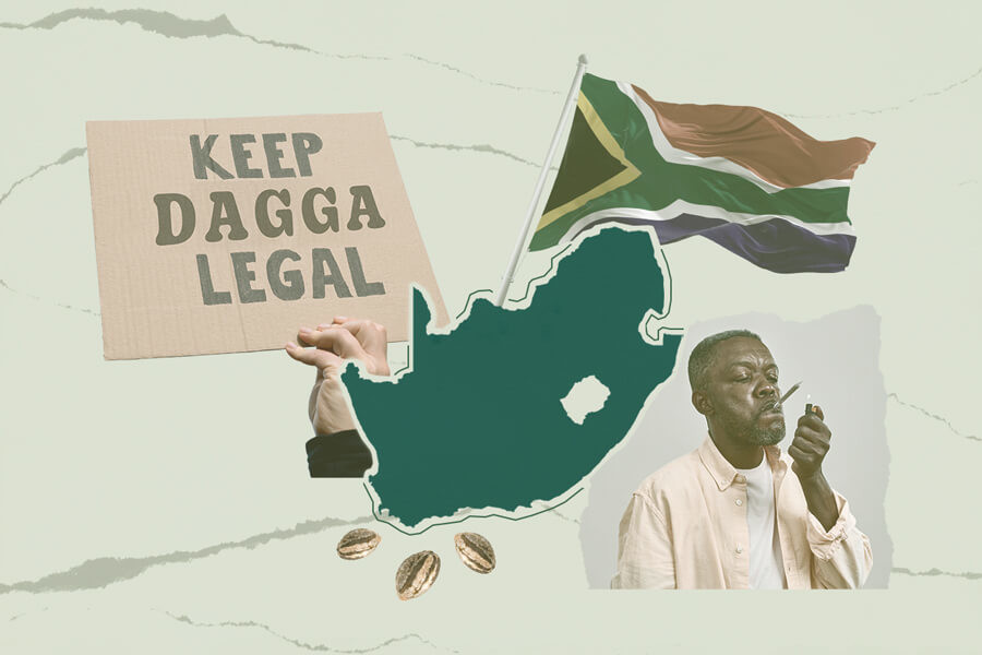L'histoire et le statut actuel du cannabis en Afrique du Sud