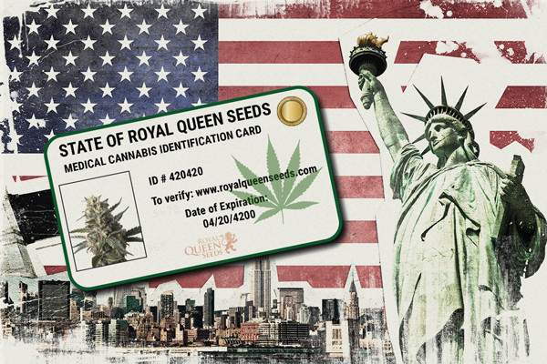 Comment avoir une carte pour la marijuana médicale aux États-Unis