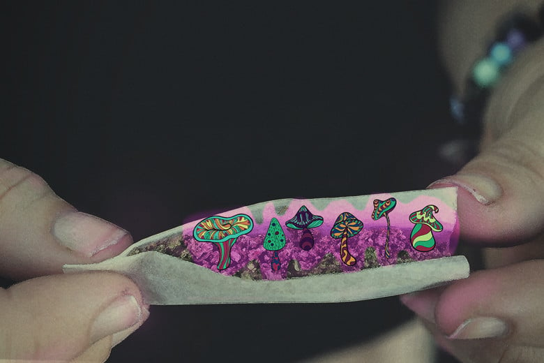 Peut-on mélanger le cannabis et les champignons magiques ?