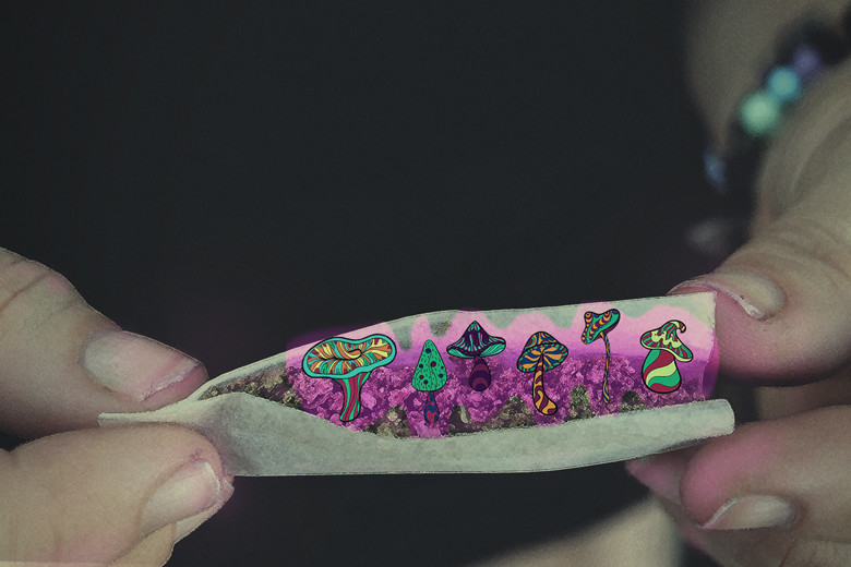 Peut-on mélanger le cannabis et les champignons magiques ?