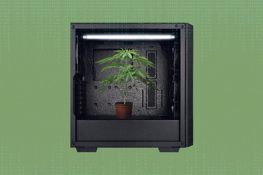Comment faire une micro-culture de cannabis dans une tour d’ordinateur