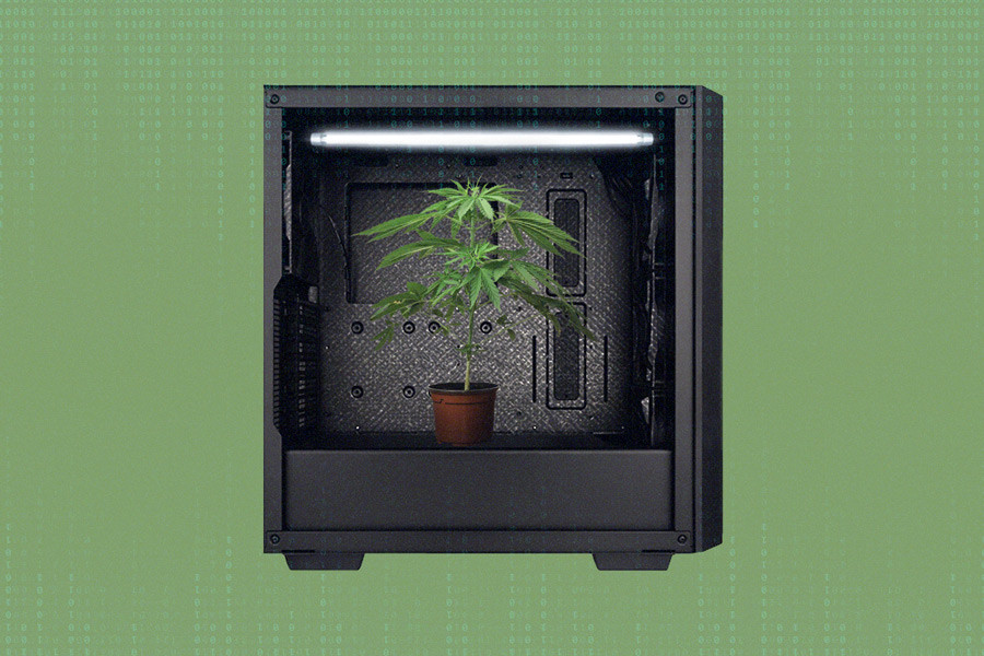 Comment faire une micro-culture de cannabis dans une tour PC - RQS Blog