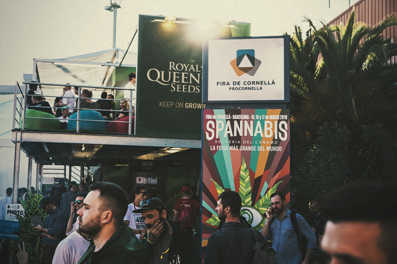 Spannabis 2019: Royal Queen Seeds Meilleure Banque de Graines !