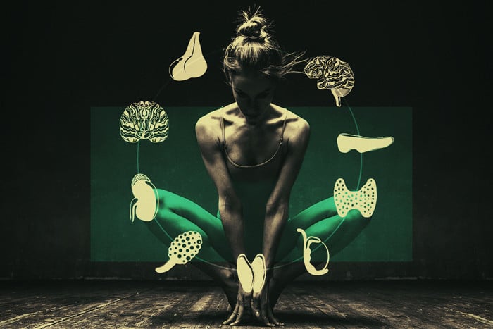 CBD et équilibre hormonal