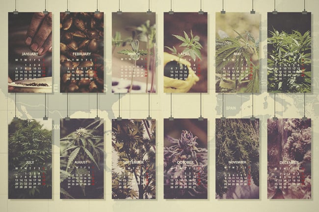 Guide de culture du mois : Europe du Sud et États-Unis